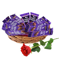 Online 12 Dairy Milk Chocolate Basket With 1 Red Rose Bud. Newborn Gifts in India