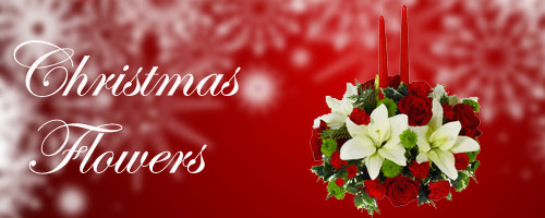 Christmas Flowers to Secunderabad