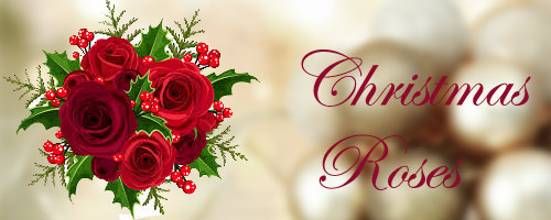 Christmas Flowers to India