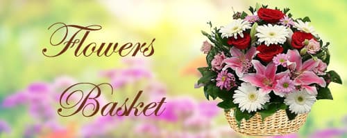 Flower Baskets to India