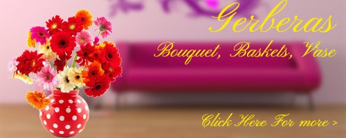Gerbera Flowers to Aligarh