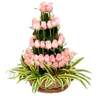 Send Rakhi to India Online, Send Pink Flower Basket 50 Flowers to Navi India