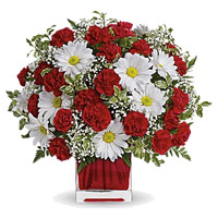 Send White Gerbera Red Carnation Vase 24 Rakhi Flowers to India