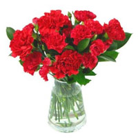 Send Carnations to India