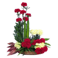 Order Rakhi Red Yellow Carnation Basket 24 Flowers Delivery to India
