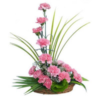 Same Day Flower Delivery in India. 15 Pink Carnation Arrangement on Diwali
