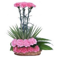 Rakhi with Flower Delivery in India. Online Pink Carnation Arrangement 20 Flowers to India