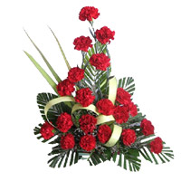Same Day Deliver of Rakhi Flowers to India. Rakhi with Red Carnation Arrangement 20 Flowers in India