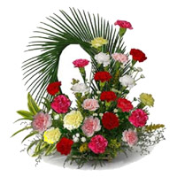 Place Order for Mixed Carnation Arrangement 24 Flowers in India on Rakhi