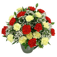 Send Rakhi to India with Red Yellow Carnation Vase 24 Flowers to India