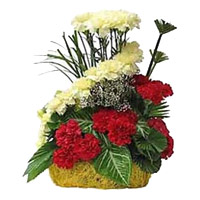 Send Rakhi with Red Yellow Carnation Basket of 24 Flowers to India