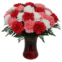 Deliver Red Pink White Carnation Vase with 24 Rakhi Flower to India