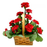 Place Order for Onam Flowers to India