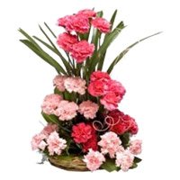 Buy Online Pink Carnation Basket of 24 Rakhi Flowers in India