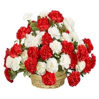 Send New Born Flowers to India