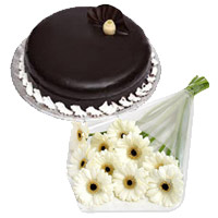 Send 12 White Gerbera 1 Kg Chocolate Truffle Cake in India Online