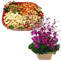 Gifts to Belgaum. Send 10 Purple Orchids Basket with 1/2 Kg Assorted Dry Fruits in India