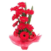 Send 12 Red Gerbera Basket with Rakhi and Flowers to India