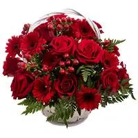 Online Flower Delivery in India : Red Gerbera Basket