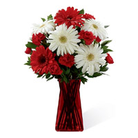 Place Online Order of Red White Gerbera Carnation in Vase 12 Flowers to India on Rakhi
