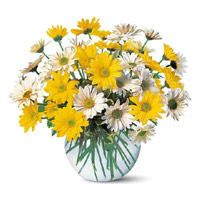 Online Diwali Flowers Delivery in India. Yellow White Gerbera in Vase 24 Flowers to India