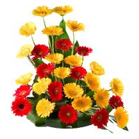Flowers to India : Red Yellow Gerbera India