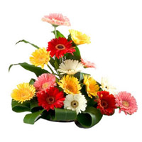Deliver Flowers to India. Online Mixed Gerbera Basket 15 Flowers and Rakhi to India