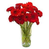 Deliver Diwali Flowers to India. Red Gerbera in Vase 12 Flowers to India on Diwali