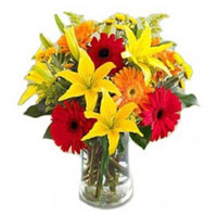 Order Lily Gerbera Bouquet in Vase 12 Flowers in India on Rakhi
