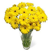 Diwali Flowers Delivery in India. Yellow Gerbera in Vase 15 Flowers in India Online