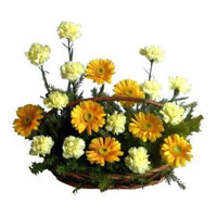 Place order for Yellow Gerbera White Carnation Basket 20 Flowers to India Online
