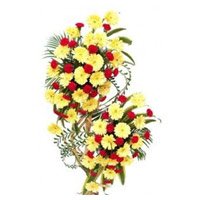 Valentine Flowers to India : Flower Delivery in India