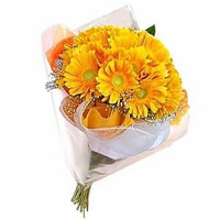 Get Yellow Gerbera Bouquet 12 Flowers Online Delivery in India for Diwali