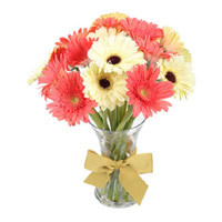 Send Mix Gerbera in Vase 15 Flowers to India for Diwali