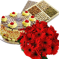 Shop for Best Diwali Gifts Delivery in India comprising 500 gm Butter Scotch Cake 12 Mix Gerbera Bouquet