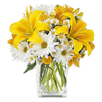 Fresh Flower Delivery in India Including 3 Yellow Lily 9 White Gerbera in Vase on Rakhi