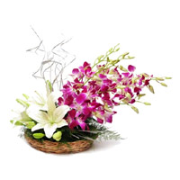 Send 2 White Lily 6 Purple Orchids Basket of Rakhi Flowers to India