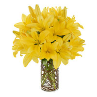 Diwali Flower Delivery to India with 8 Yellow Lily Flower Stems in Vase