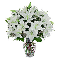 Send Rakhi to India. White Lily in Vase 8 Flower Stems