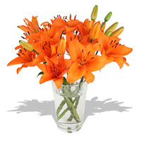 Send Rakhi to India with Orange Lily in Vase 5 Flower Stems