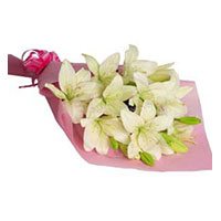 New Year Flowers to India : Pink White Lily flowers 