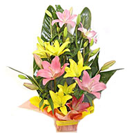 Online Delivery of Flower and Rakhi to India. Pink Yellow Lily Basket 6 Flower Stems