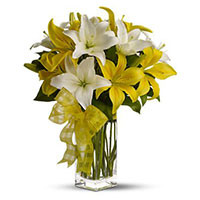 Diwali Flower Delivery in India. White Yellow Lily in Vase 6 Stems Flower in India for Diwali