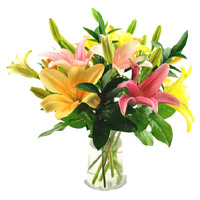 Send Diwali Flowers to India consisting Mix Lily Vase 5 Flower Stems