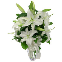Get Rakhi and Flowers. White Lily Vase of 5 Stems Flower to India