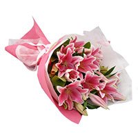 New Year Flowers in India : Buy Pink Lily flowers to India