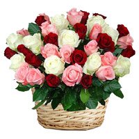 Deliver Red Pink White Roses Basket 50 Flowers in India Online for Diwali