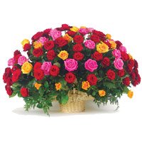 Rakhi with Flowers of Mixed Roses Basket 100 Flowers in India