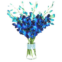Delivery Rakhi Flowers to India. Blue Orchid in Vase with 12 Stem Flowers in India