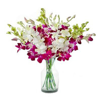 Order Online Rakhi Delivery in India with Purple White Orchid in Vase 10 Flowers to India
